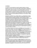 Ensayo de novela.