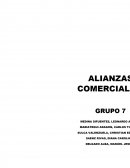 ALIANZAS COMERCIALES.