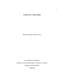 Programa contaduría pública Fusagasugá. PADRE RICO, PADRE POBRE.