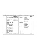 Cuadro de operacionalizacion.