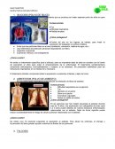 Enfermedades ocupacionales.