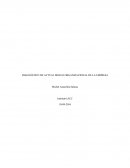 DIAGNÓSTICO DE ACTUAL MOELO ORGANIZACIONAL DE LA EMPRESA