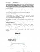 ORGANIZACIÓN DE LA FUERZA DE VENTAS.