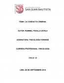 LA CONDUCTA CRIMINAL
