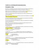 TEORÍA DE LA INFORMACIÓN ORGANIZACIONAL.