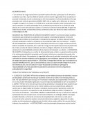 Accidentes viales. Incidencia del transporte de carga en accidentes viales