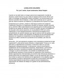 Ensayo legislacion aduanera.