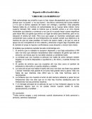 Reflexion del video circo de las mariposas