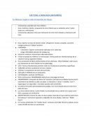 La Mitosis requiere de la formación de Husos