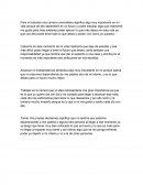 Ensayo: Actividad de metacognicion.