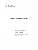 Diagnóstico y cambios en el embarazo