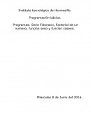 Instituto tecnológico de Hermosillo. Programación básica.