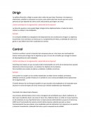 ¿Cómo contribuye en la organización y desarrollo de la empresa?.