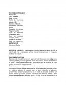 TERAPIA COGNITIVO CONDUCTUAL.