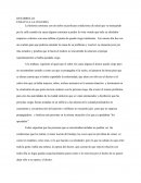 DESARROLLO ENSAYO A LA CEGUERA