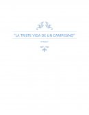 La triste vida de un campesino, El moto