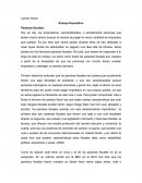 Ensayo Expositivo- Paraísos fiscales.