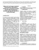 Obtención de Vinagre mediante Fermentación Alcohólica y Acética de un Sustrato de Feijoa Usando Microorganismos Aislados de Cepa de laboratorio de Microbiología..