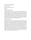 Que Significa Voluntad de verdad?.