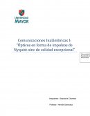 Ópticos en forma de impulsos de Nyquist-sinc de calidad excepcional.