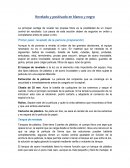 Revelado y positivado en blanco y negro.