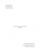 Arquetipos y tipos de Millenials