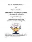 Identificación de Cambios Químicos y el Lenguaje de la Química.