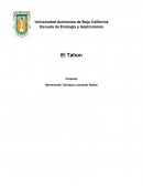 Conceptualización de la idea.