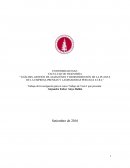 Análisis, gestión de almacénes y redistribución de la planta de la empresa prensas y laminadoras Peruana E.I.R.L