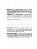 PAMMIX: ANALISIS PORTER.