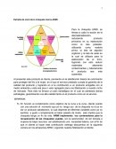 Estrella de mont de la chaqueta marca ARMI.