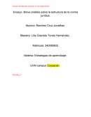 Ensayo: Breve análisis sobre la estructura de la norma jurídica...
