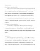 INTRODUCCION- ESTRUCTURA ORGANIZACIONAL.