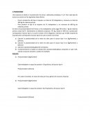 Gestion de produccion.