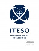 TAREA 04: ¿Qué es el Greenwash? ¿Cómo evitar incurrir en esa práctica?