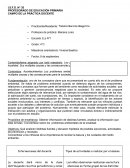 PROFESORADO DE EDUCACIÓN PRIMARIA CAMPO DE LA PRÁCTICA DOCENTE