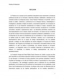 REFLEXION PRACTICA PROFESIONAL