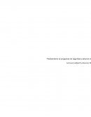 Organización y puesto detrabajo