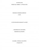 ORIGEN DEL HOMBRE Y LA PRODUCCIÒN.