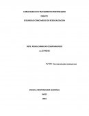 SEGURIDAD COMO MEDIO DE LA RESOCIALIZACION..