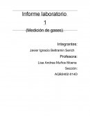Informe laboratorio medición de gases
