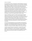 Factores Tecnológicos.