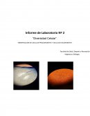 Observacion de celulas procariontes y celulas eucariontes
