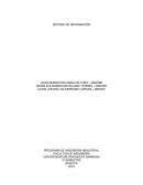 La triste historia económica de nuestro país.