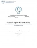 Monografia de Psicobiologia - Bases Biologicas de las conductas.