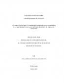 CAPÍTULO I NATURALEZA Y DEMENSION DEL PROBLEMA