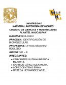 IDENTIFICACIÓN DE BIOMOLECULAS.