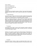 Géneros discursivos, Descripción, Narración.