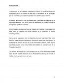 La protección de la Propiedad Intelectual en México.