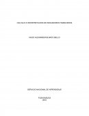 CALCULO E INTERPRETACION DE INDICADORES FINANCIEROS.